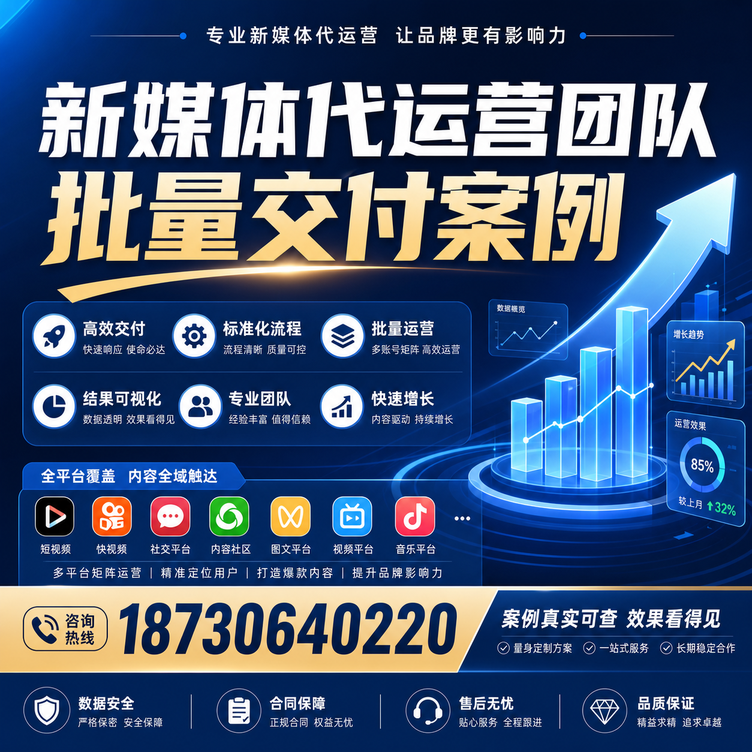 拉萨代运营公司多客户账号批量高效交付案例